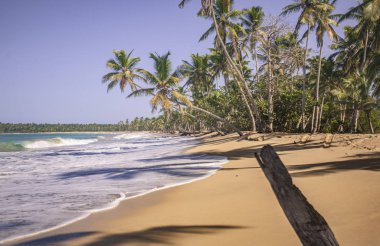 Playa Limon, Dominik Cumhuriyeti 12