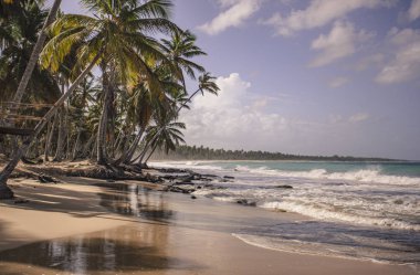 Dominik Cumhuriyeti 'nde Playa Limonu