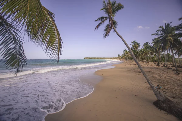 Playa limon in der dominikanischen republik 15 — Stockfoto