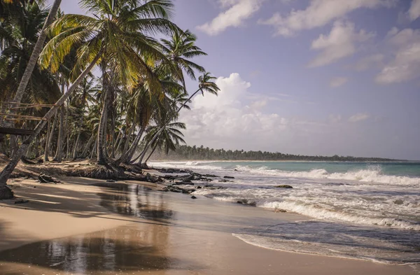 Playa Limon в Доминиканской Республике 5 — стоковое фото