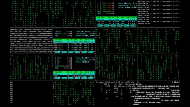Computerscherm Coderen Met Alfanumerieke Codes Beweging — Stockvideo