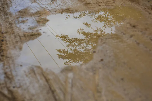 Puddle in the mud 3 — Stock Photo, Image