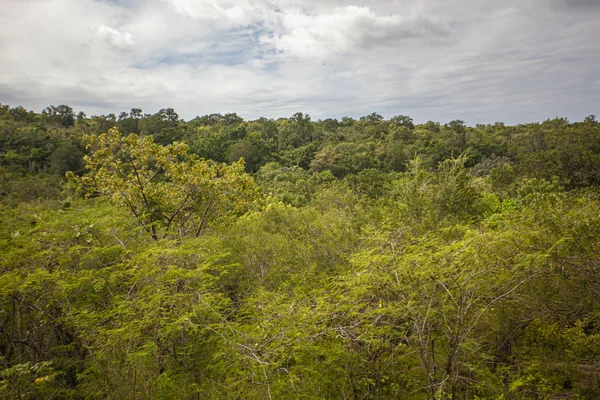 Park Narodowy Cotubanama w Republice Dominikańskiej 30 — Zdjęcie stockowe