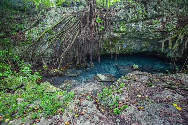 ドミニカ共和国コツバナマ国立公園3 — ストック写真