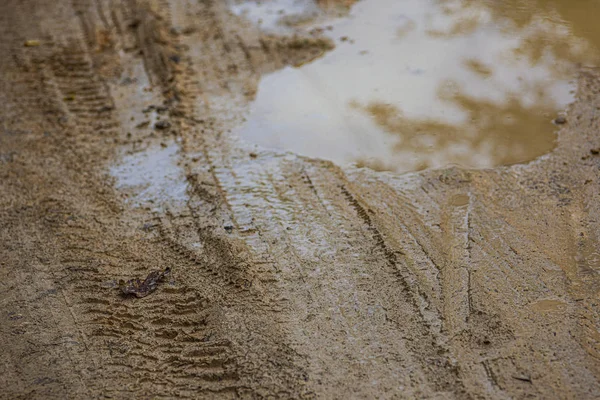 Лужа в грязи 5 — стоковое фото