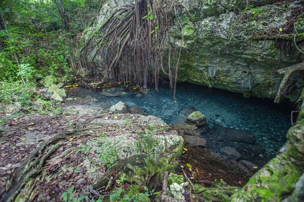 Cotubanama National Park in Dominican Republic — Stock Photo, Image