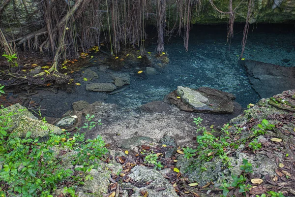 Nationaal park Cotubanama in Dominicaanse Republiek 2 — Stockfoto