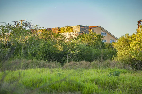 Maison au milieu de la nature tropicale — Photo