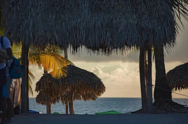 Ψάθινες ομπρέλες στην παραλία το ηλιοβασίλεμα — Φωτογραφία Αρχείου
