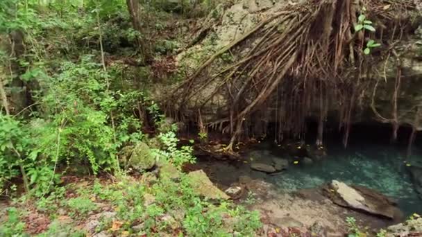 Jeskyně Padre Nuestro Národním Parku Cotubanama Dominikánská Republika — Stock video