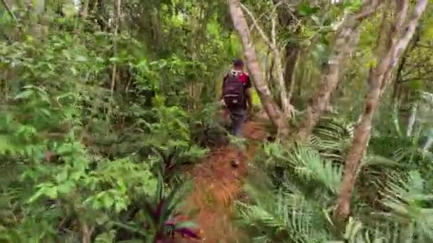 Passage Genom Cotubanama National Park Dominikanska Republiken — Stockvideo