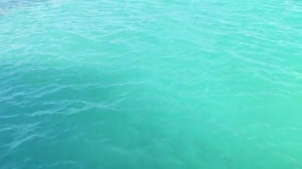 Blauw Water Van Kariboon Zee Textuur — Stockvideo