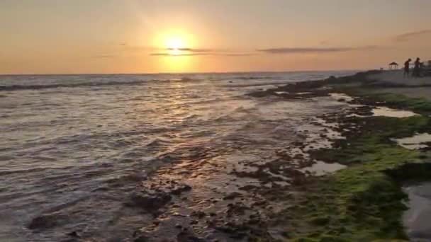 Matahari Terbenam Laut Dan Pantai Karibia Dominicus Republik Dominika — Stok Video