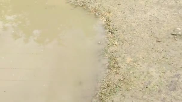 Puddles sur le sol dans un chemin de terre en République dominicaine 