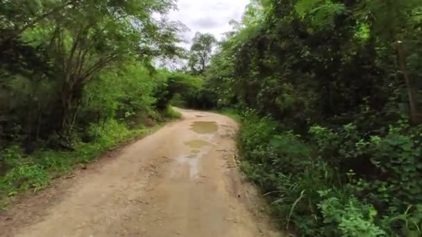 Brudna Droga Parku Narodowym Cotubanama Dominikana — Wideo stockowe