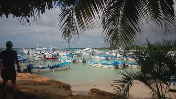 Bayahibe Dominican Republic January 2020 Many Boats Moored Port Bayahibe — стокове відео