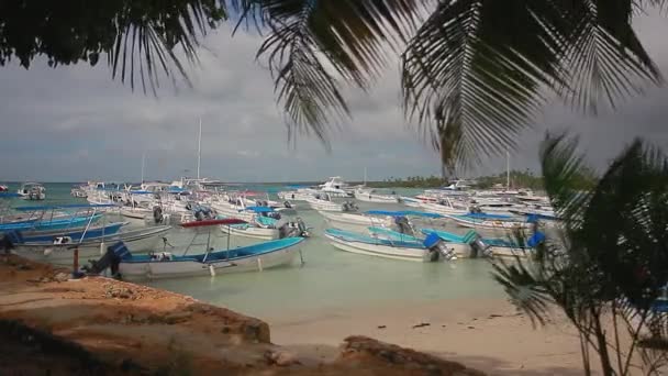 Bayahibe Dominican Republic January 2020 Many Boats Moored Port Bayahibe — Stockvideo
