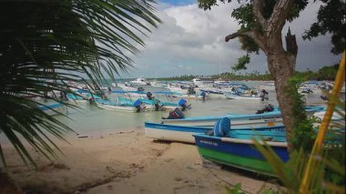 BAYAHIBE, DOMINICAN REPUBLIC 22 JANUARY 2020: Many boats moored in the port of Bayahibe in the Dominican Republic