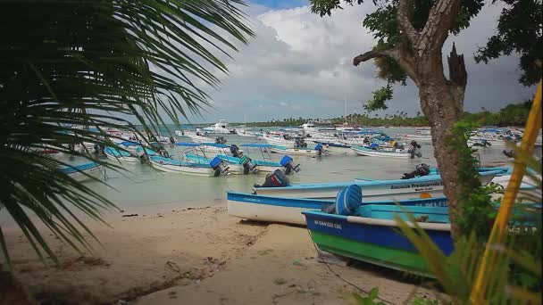 Bayahibe República Dominicana Janeiro 2020 Muitos Barcos Atracados Porto Bayahibe — Vídeo de Stock