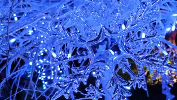 屋外で使用するためのブルークリスマスライトの装飾 — ストック動画