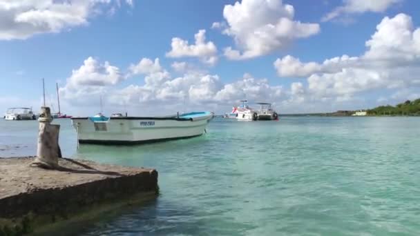 Bayahibe Dominican Republic December 2019 Bayahibe Lagoon Touristic Port — стокове відео