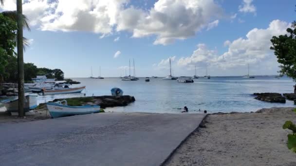 Bayahibe Dominikai Köztársaság December 2019 Csónak Bayahibe Kikötőben — Stock videók