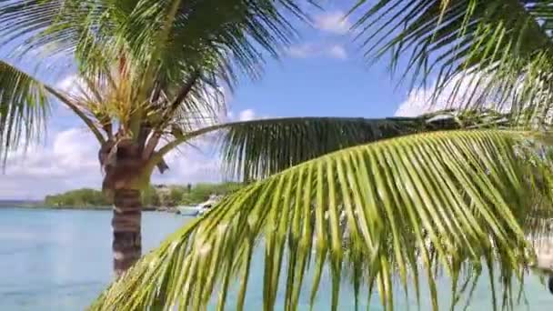 2019年12月23日 多米尼加共和国巴亚希贝 巴亚希贝泻湖和旅游港 — 图库视频影像