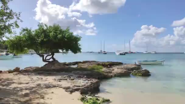 Bayahibe Dominikanische Republik Dezember 2019 Lagune Und Touristenhafen Von Bayahibe — Stockvideo