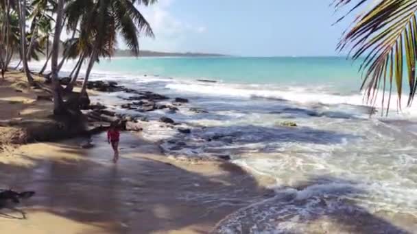 Panorama Krásné Přírodní Pláže Playa Limon Dominikánské Republice — Stock video