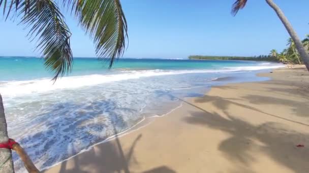 Panorama Pięknej Naturalnej Plaży Playa Limon Republice Dominikańskiej — Wideo stockowe