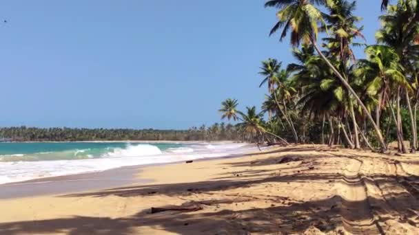 Πανόραμα Της Όμορφης Και Φυσικής Παραλίας Playa Limon Στη Δομινικανή — Αρχείο Βίντεο