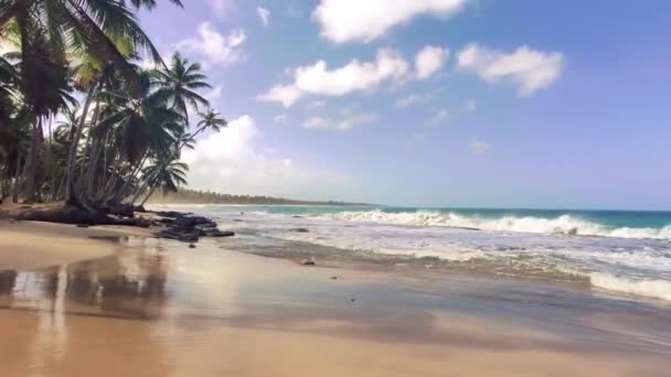 Panorama Över Den Vackra Och Naturliga Stranden Playa Limon Dominikanska — Stockvideo