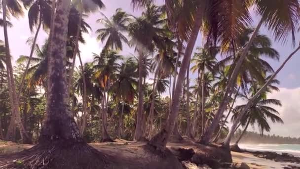 Panorama Över Den Vackra Och Naturliga Stranden Playa Limon Dominikanska — Stockvideo