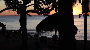 Karayip Günbatımı silueti Palmiye ağaçları ve deniz 7