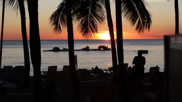 Silueta Caribeña Atardecer Con Palmeras Mar — Vídeo de stock