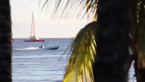 Bayahibe Repubblica Dominicana Gennaio 2020 Barca Vela All Orizzonte Nel — Video Stock