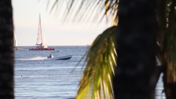 Bayahibe Dominican Republic January 2020 Sailboat Horizon Caribbean Sea Sunset — Wideo stockowe