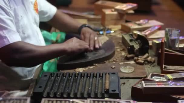 Bayahibe Dominican Republic January 2020 Cigar Manufacturing Hand Made — Αρχείο Βίντεο