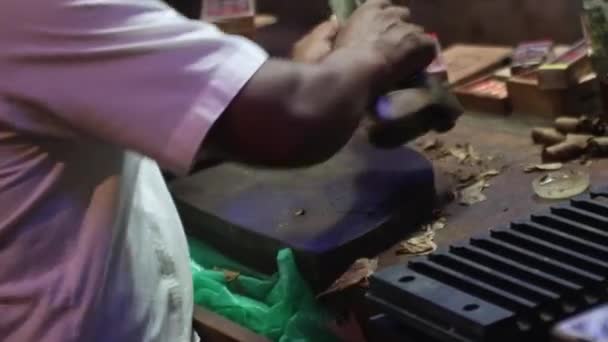 Bayahibe República Dominicana Enero 2020 Fabricación Cigarros — Vídeo de stock