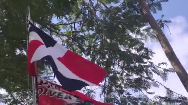 Bandera Dominicana Moviéndose Viento — Vídeo de stock