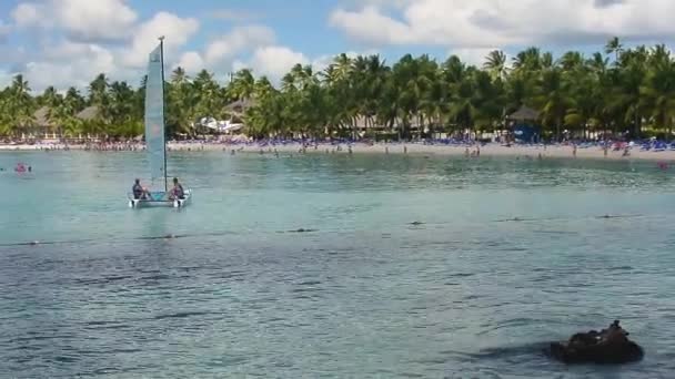 View of Dominicus beach in Bayahibe in Dominican Republic during the morning with the sun, with boats on the sea and palm trees and tourists populating the beach — Stock Footage View Dominicus Beach Bayahibe Dominican Republic Morning Sun Boats Sea Video Clip