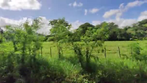 Dominicana Paesaggio Naturale Movimento Tramonto — Video Stock