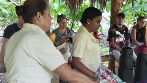 Montana Redonda Dominican Republic January 2020 Open Cocoa Fruit — Stockvideo