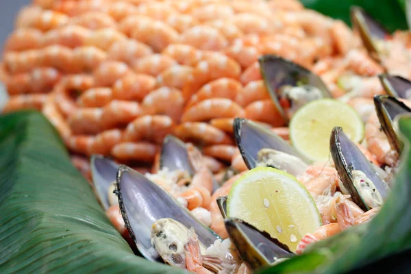 Trays Full Marine Molluscs Mussels Ready Served — Stock Photo, Image