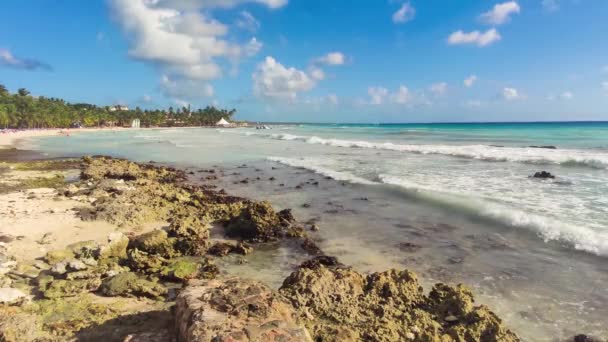 Dominicus sea landscape — Wideo stockowe