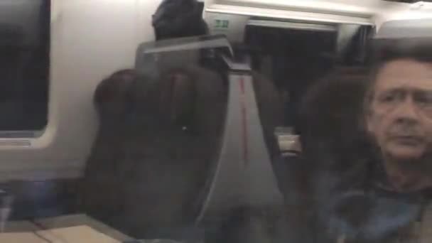 Вид на панораму из окна поезда — стоковое видео