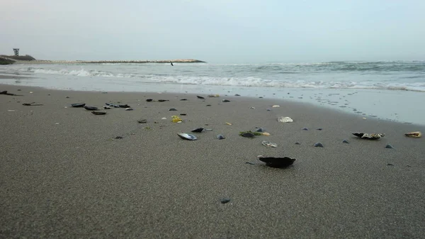 Gün batımında İtalya 'nın kuzeyindeki Rosolina Mare plajı