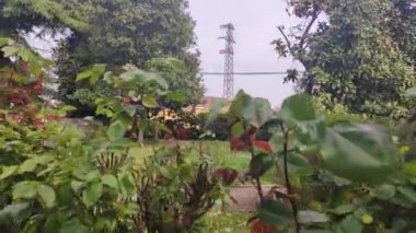 Tespih bitkisi ayrıntı bırakır, seçici odak görüntüsü 2