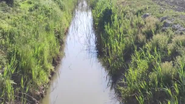 Escurrir Para Riego Campo Italiano Durante Primavera — Vídeos de Stock