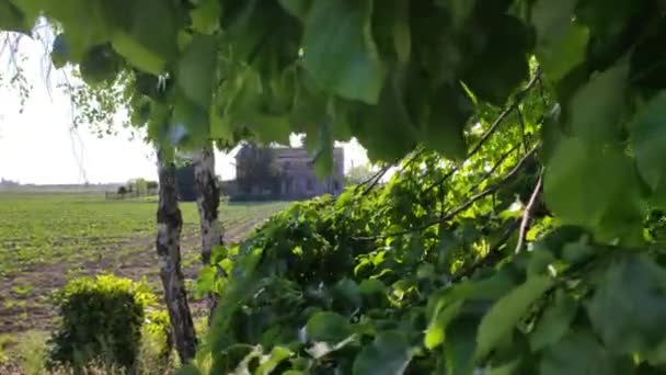 Italienska Gamla Lantliga Hus Omgivet Natur — Stockvideo